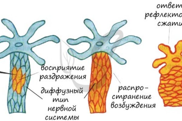 Кракен найти сайт