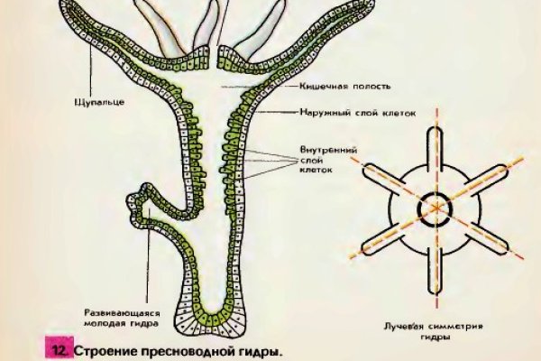 Кракен ссылка тор kraken014 com