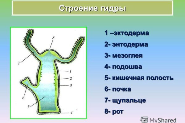 Новый адрес кракен